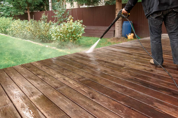 Professional  Pressure Washing Services in Whiteville, TN